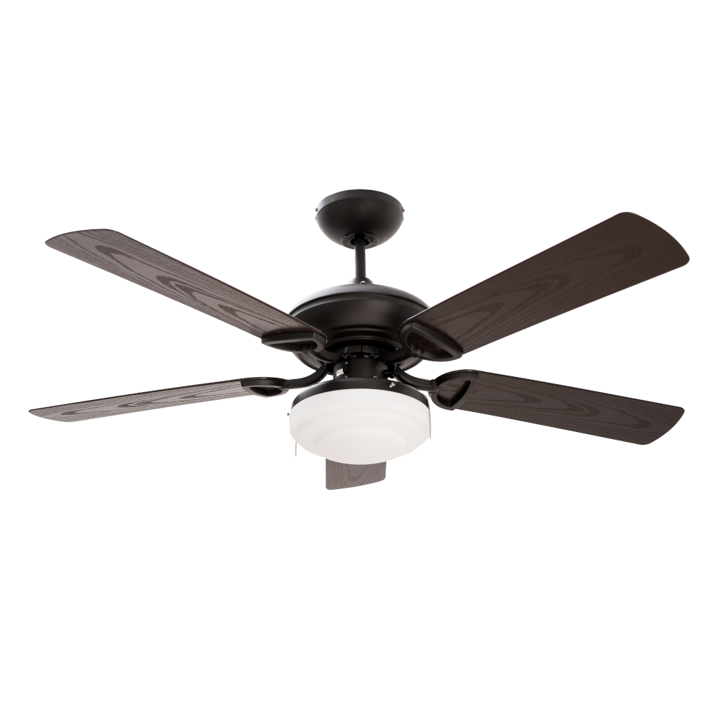 Ventilador de Techo Janeiro