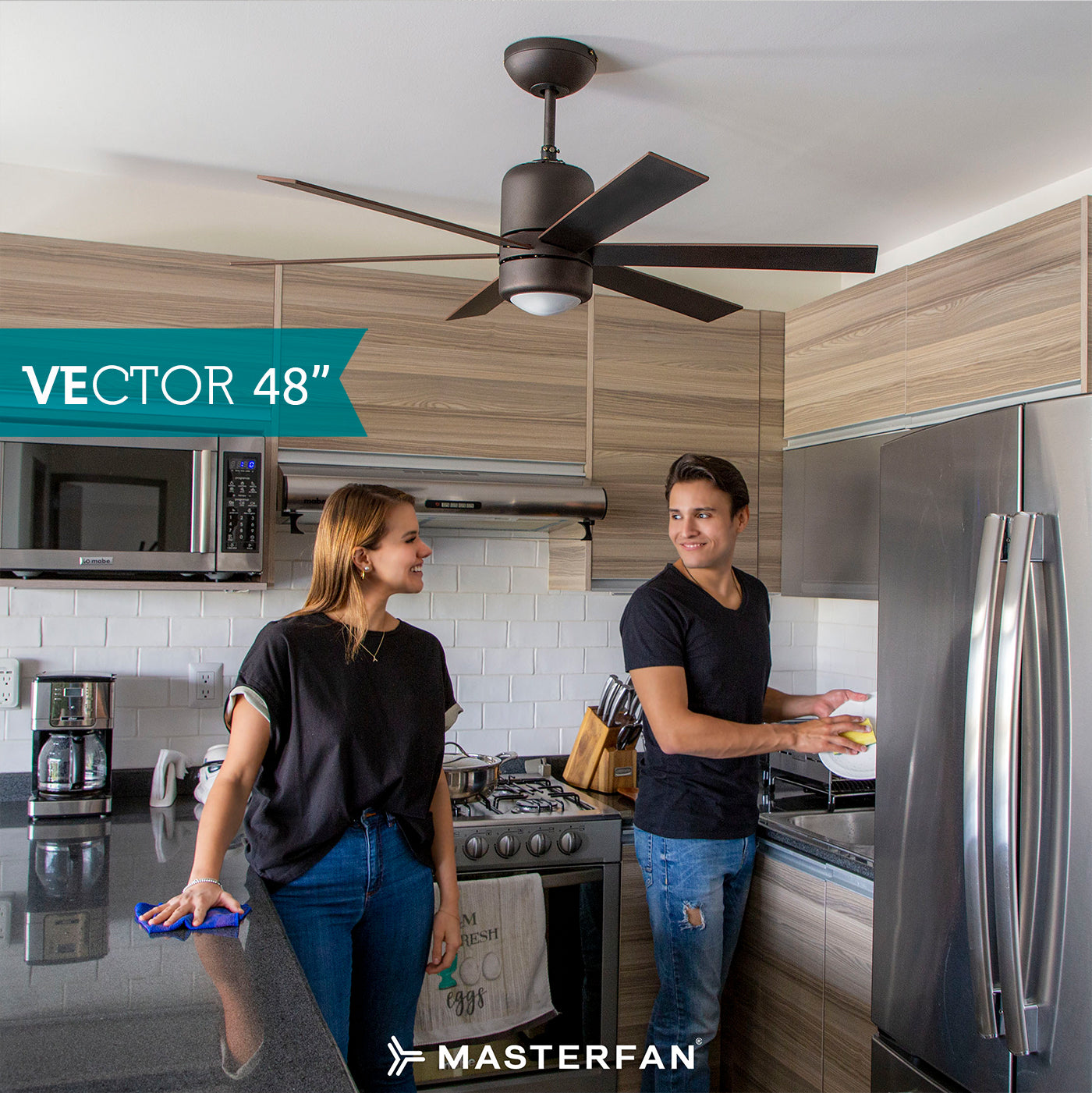 anaicos de techo masterfan